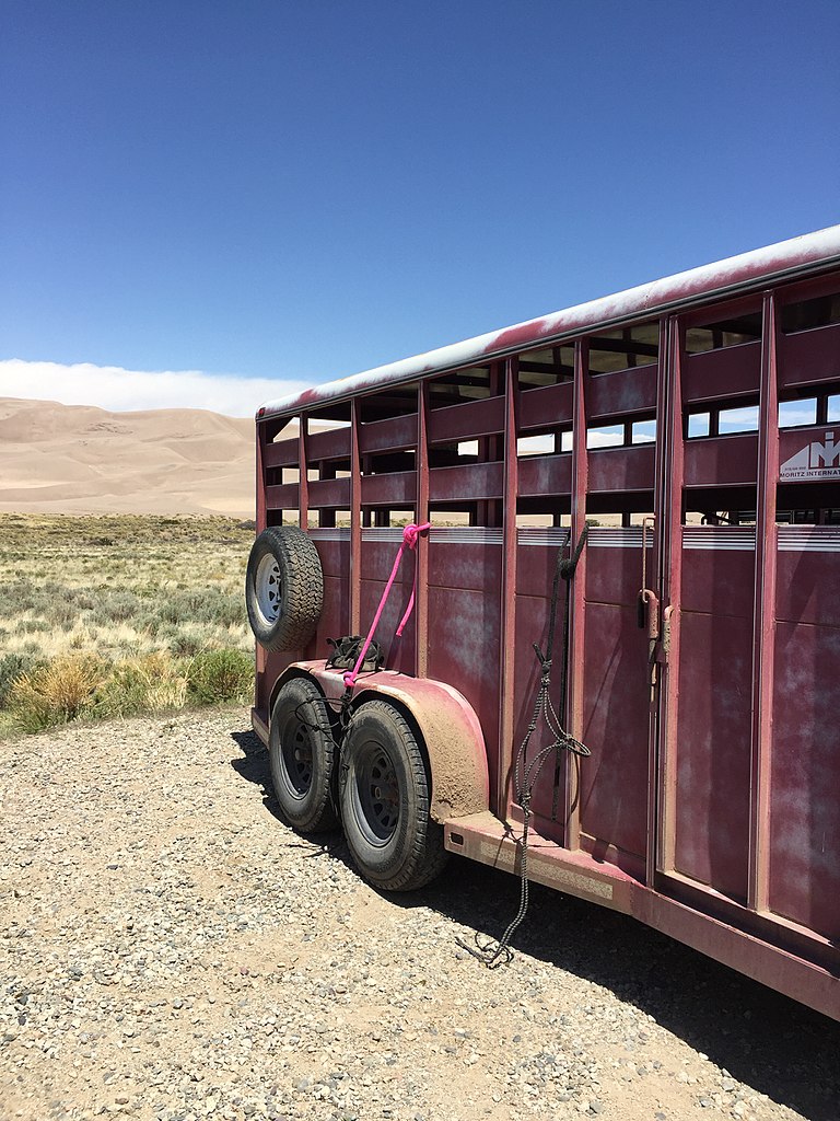 Types of Horse Trailers for Colorado Equine Real Estate Colorado Horse Property