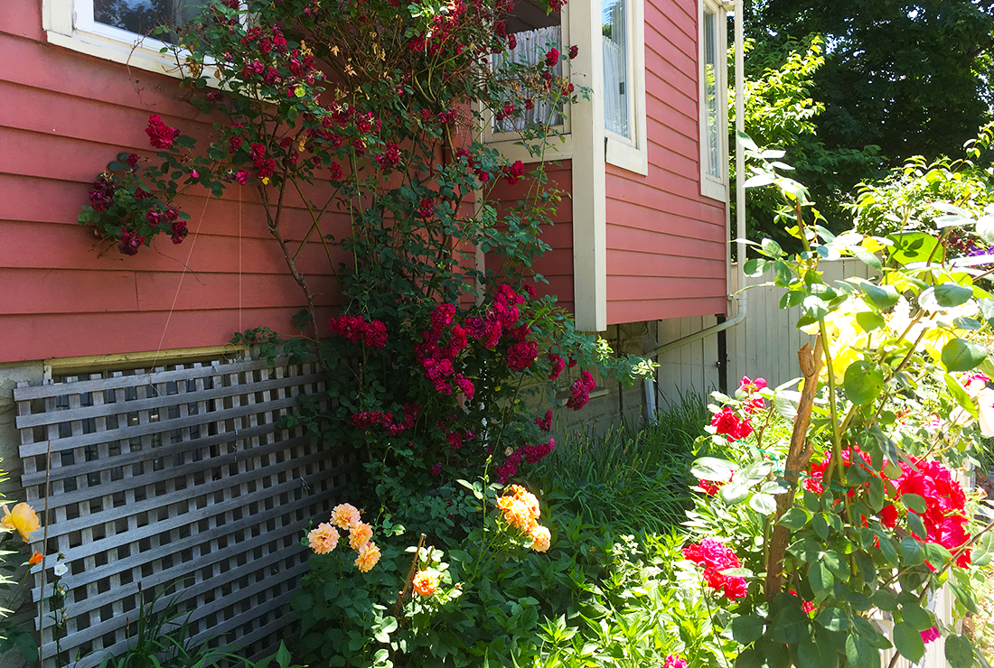 Cambridge Highlands Real Estate Cambridge, MA