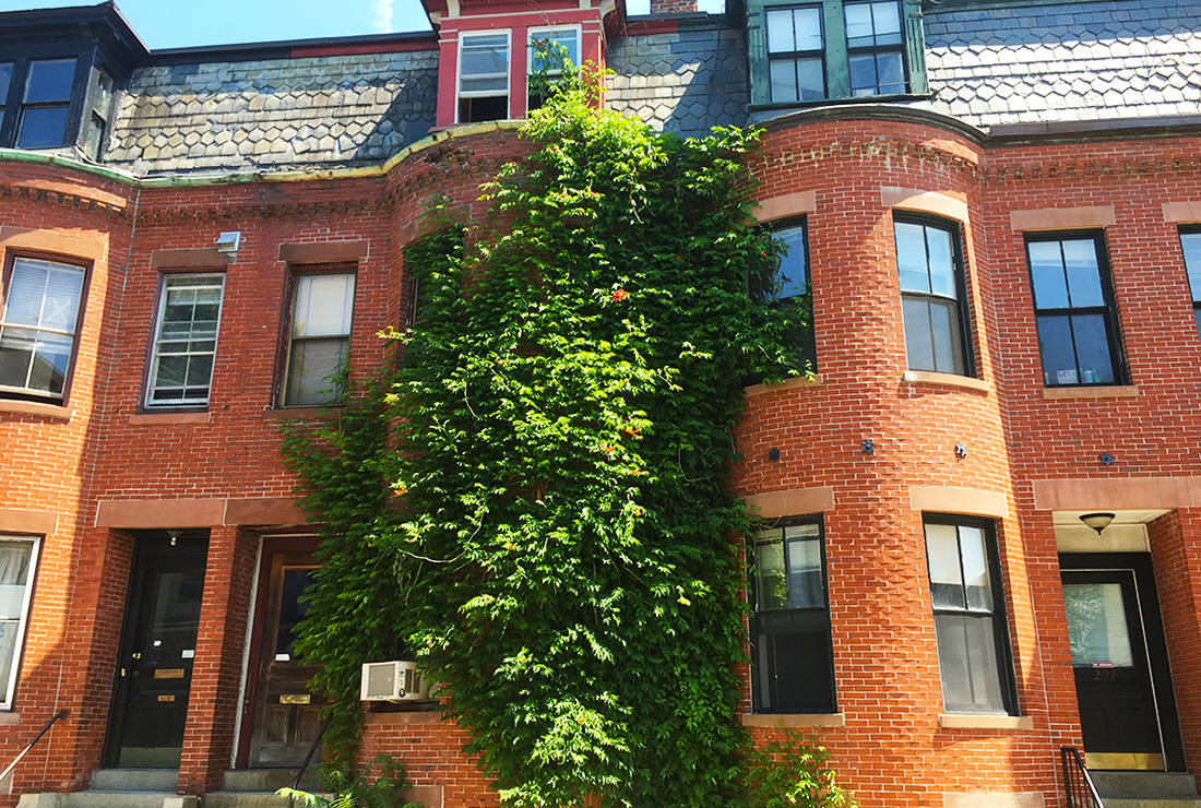 Central Square Real Estate Central Square Cambridge MA