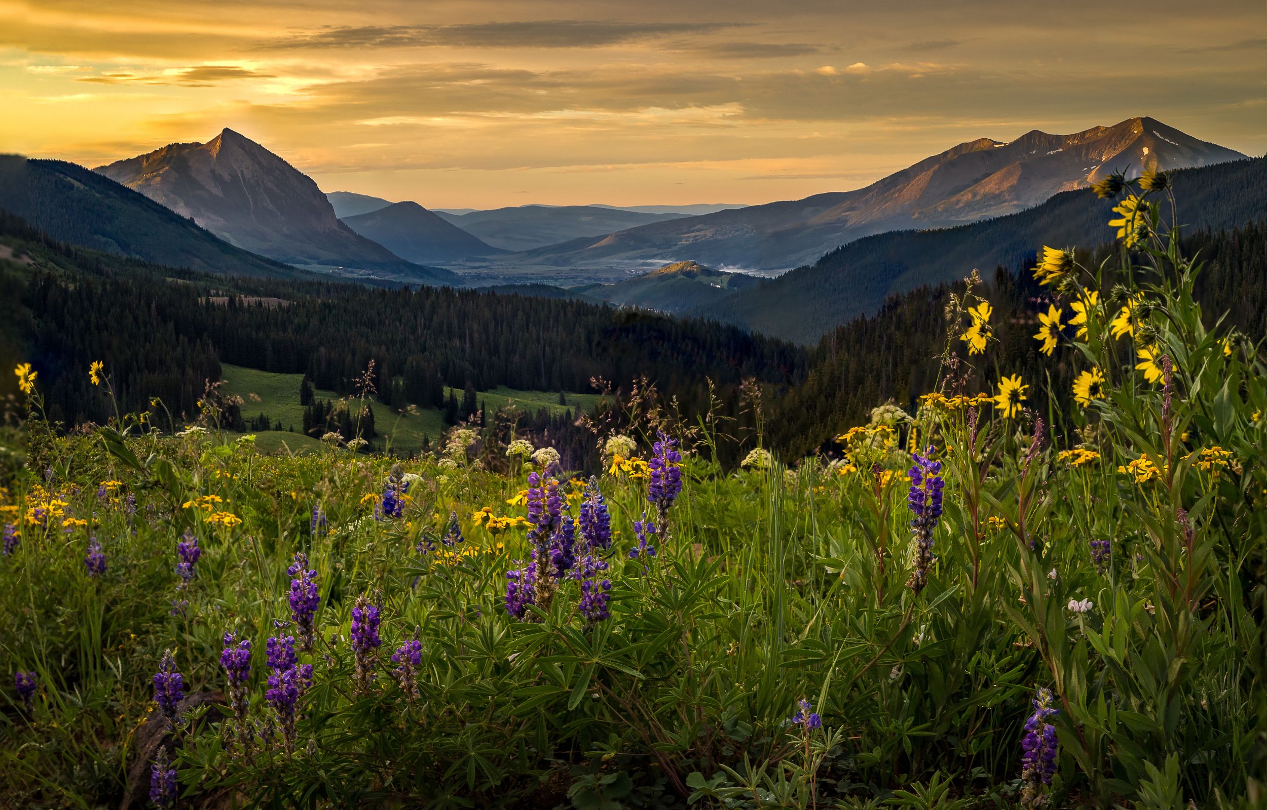   Crested Butte