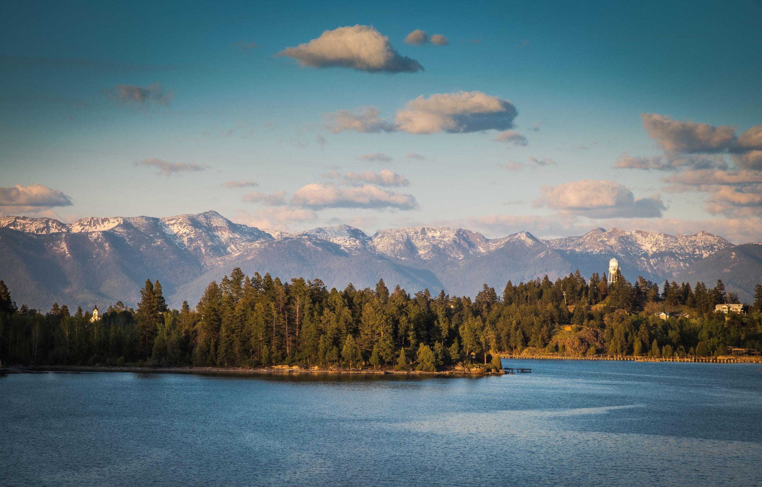   Whitefish