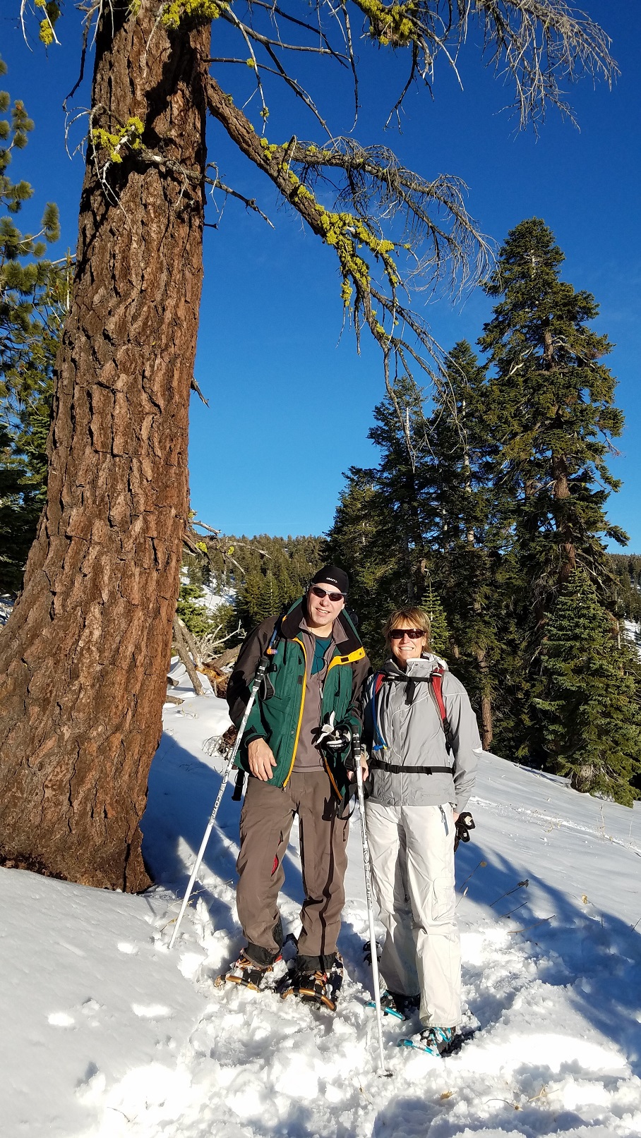 Brenda Bowlds, Carson City Realtor, Coldwell Banker Select Real Estate