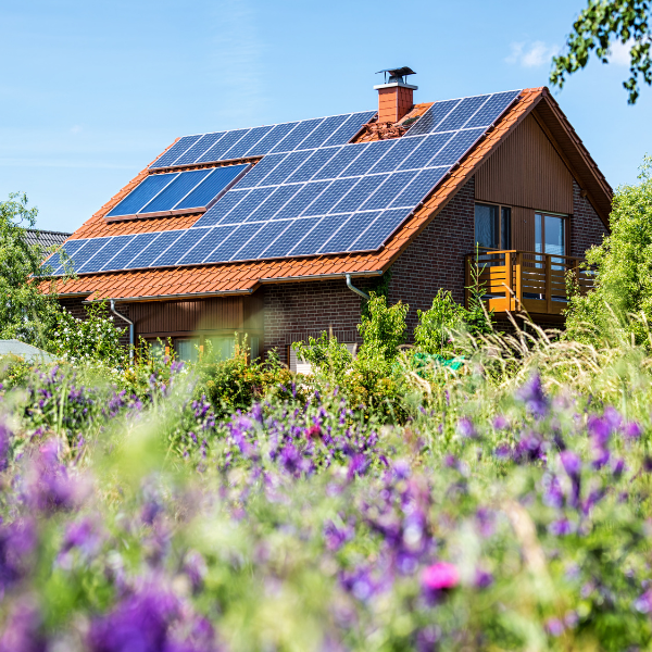 Shining a Light on Solar: The Impact of Solar Panels on Today's Real Estate Market